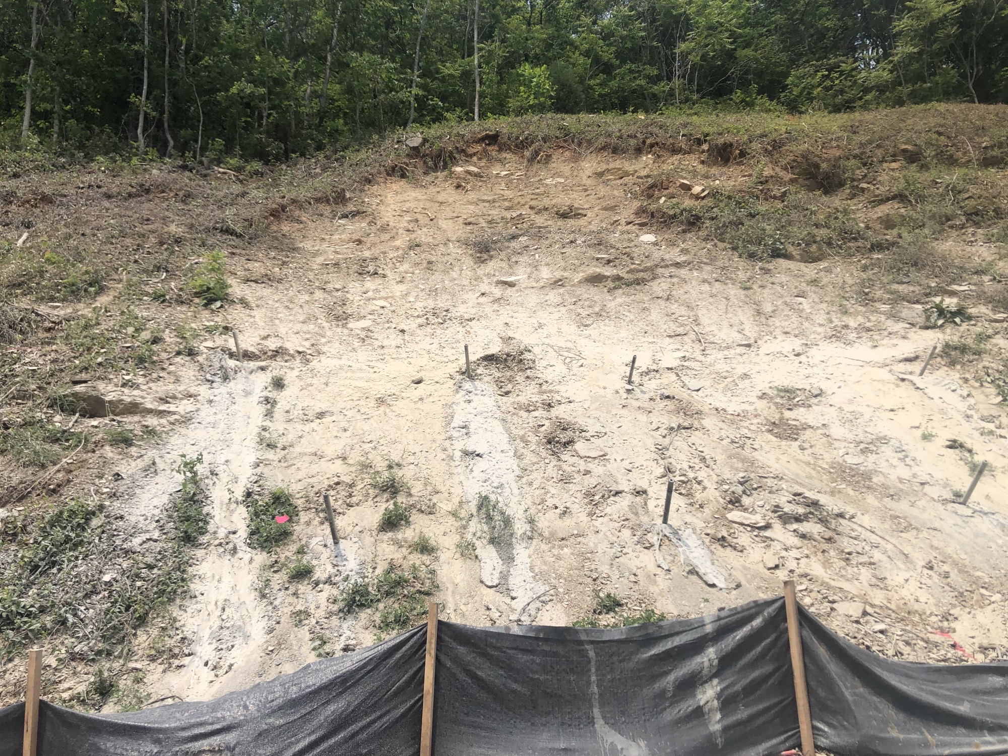Slope with Soil Nailing
