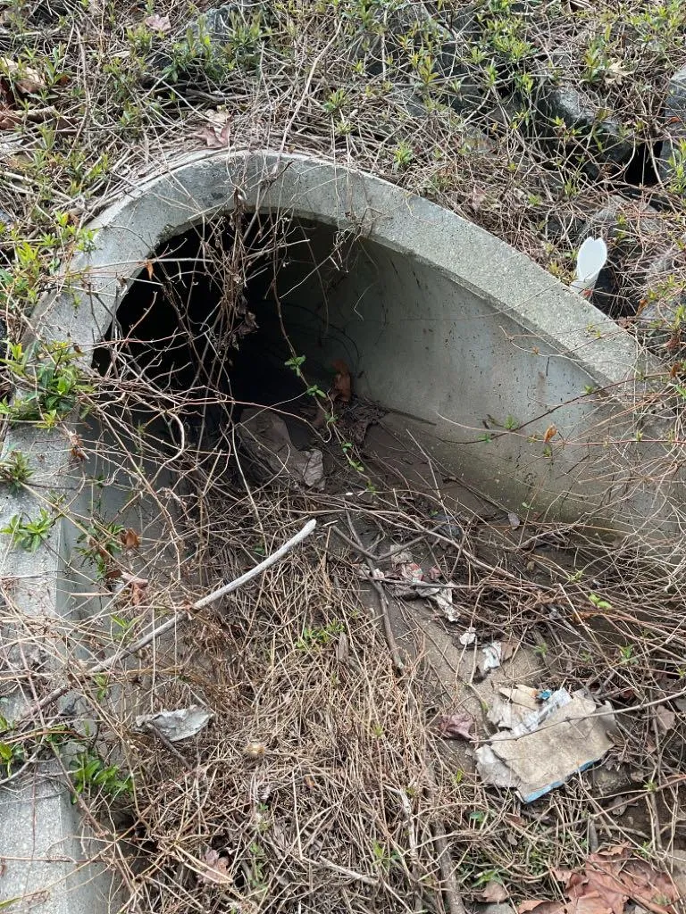 Pipe Inlet Blocked with Debris Pipe Inlet Blocked with Debris