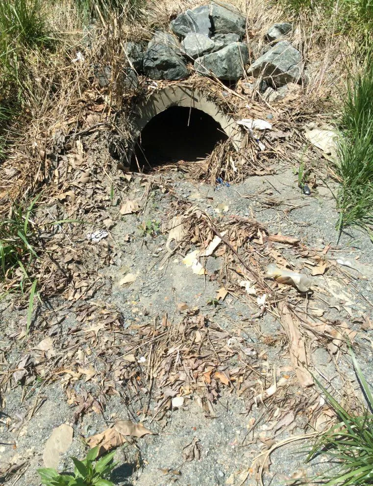Pipe covered with soil and debris Pipe covered with soil and debris